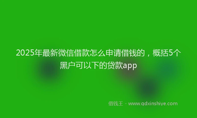 2025年最新微信借款怎么申请借钱的，概括5个黑户可以下的贷款app