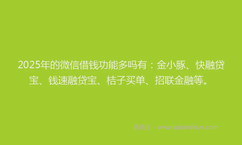 2025年的微信借钱功能多吗有：金小豚、快融贷宝、钱速融贷宝、桔子买单、招联金融等。