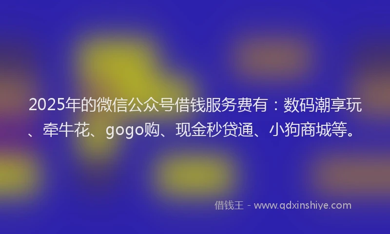 2025年的微信公众号借钱服务费有：数码潮享玩、牵牛花、gogo购、现金秒贷通、小狗商城等。