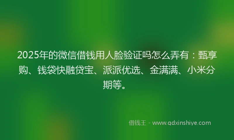 2025年的微信借钱用人脸验证吗怎么弄有：甄享购、钱袋快融贷宝、派派优选、金满满、小米分期等。