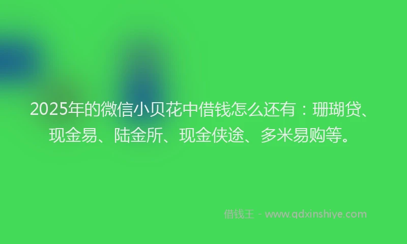 2025年的微信小贝花中借钱怎么还有：珊瑚贷、现金易、陆金所、现金侠途、多米易购等。