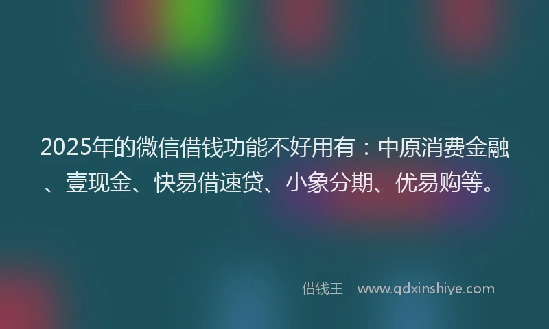 2025年的微信借钱功能不好用有：中原消费金融、壹现金、快易借速贷、小象分期、优易购等。
