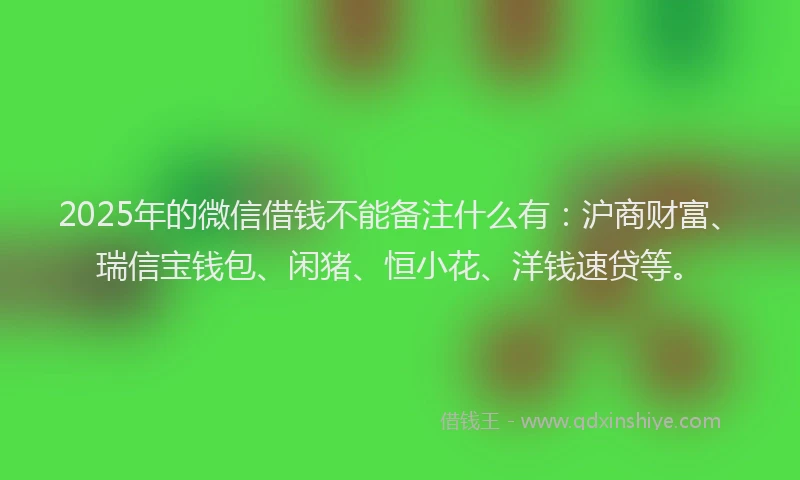 2025年的微信借钱不能备注什么有：沪商财富、瑞信宝钱包、闲猪、恒小花、洋钱速贷等。