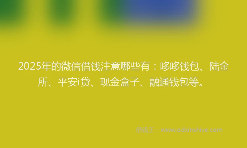 2025年的微信借钱注意哪些有：哆哆钱包、陆金所、平安i贷、现金盒子、融通钱包等。
