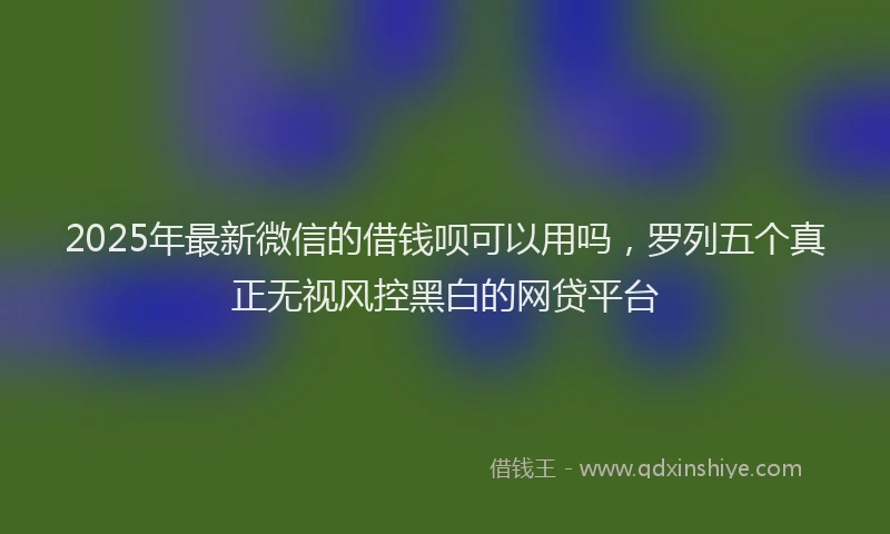 2025年最新微信的借钱呗可以用吗，罗列五个真正无视风控黑白的网贷平台