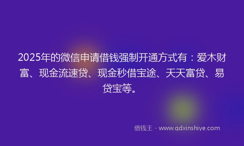 2025年的微信申请借钱强制开通方式有：爱木财富、现金流速贷、现金秒借宝途、天天富贷、易贷宝等。