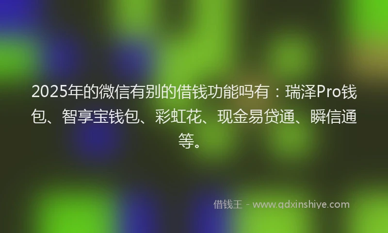 2025年的微信有别的借钱功能吗有：瑞泽Pro钱包、智享宝钱包、彩虹花、现金易贷通、瞬信通等。