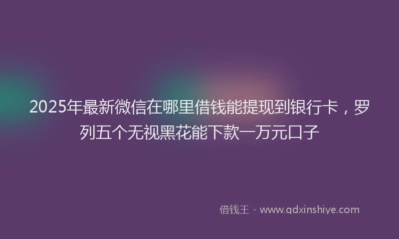 2025年最新微信在哪里借钱能提现到银行卡，罗列五个无视黑花能下款一万元口子