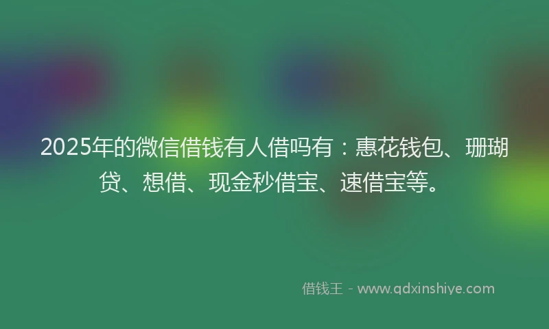 2025年的微信借钱有人借吗有：惠花钱包、珊瑚贷、想借、现金秒借宝、速借宝等。