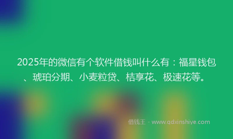 2025年的微信有个软件借钱叫什么有：福星钱包、琥珀分期、小麦粒贷、桔享花、极速花等。