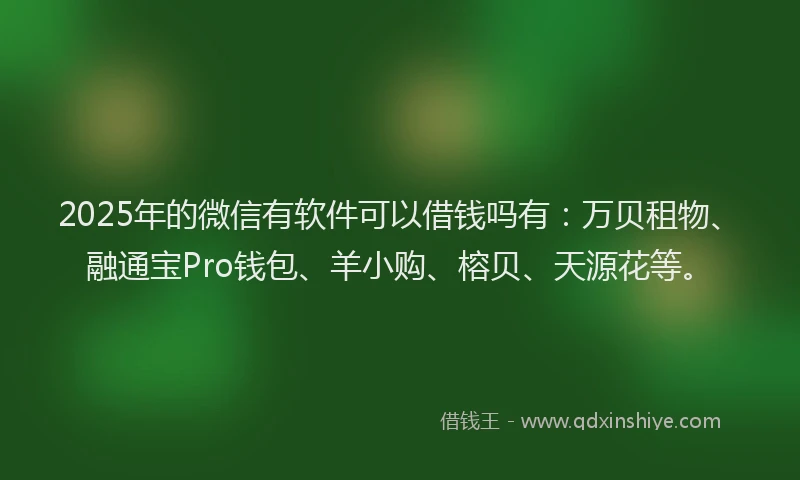 2025年的微信有软件可以借钱吗有：万贝租物、融通宝Pro钱包、羊小购、榕贝、天源花等。