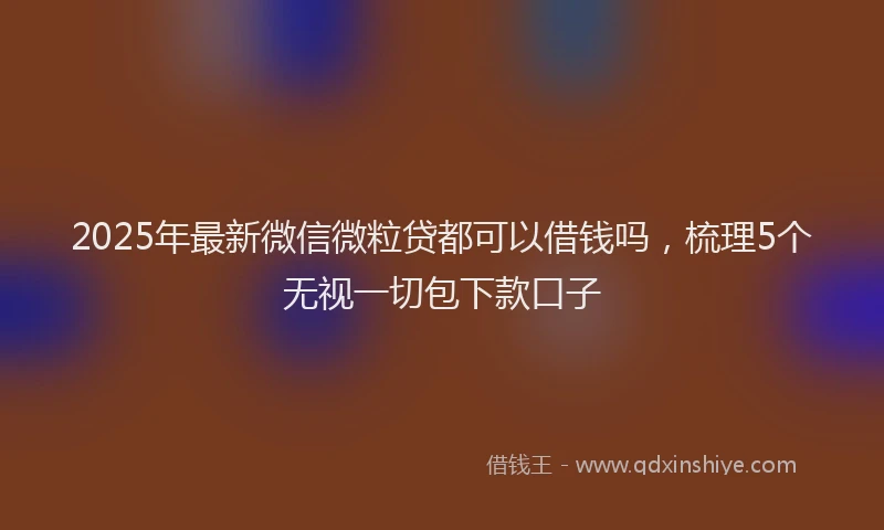 2025年最新微信微粒贷都可以借钱吗，梳理5个无视一切包下款口子