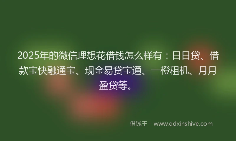 2025年的微信理想花借钱怎么样有：日日贷、借款宝快融通宝、现金易贷宝通、一橙租机、月月盈贷等。