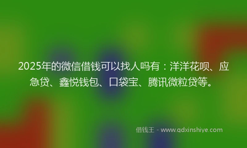 2025年的微信借钱可以找人吗有：洋洋花呗、应急贷、鑫悦钱包、口袋宝、腾讯微粒贷等。
