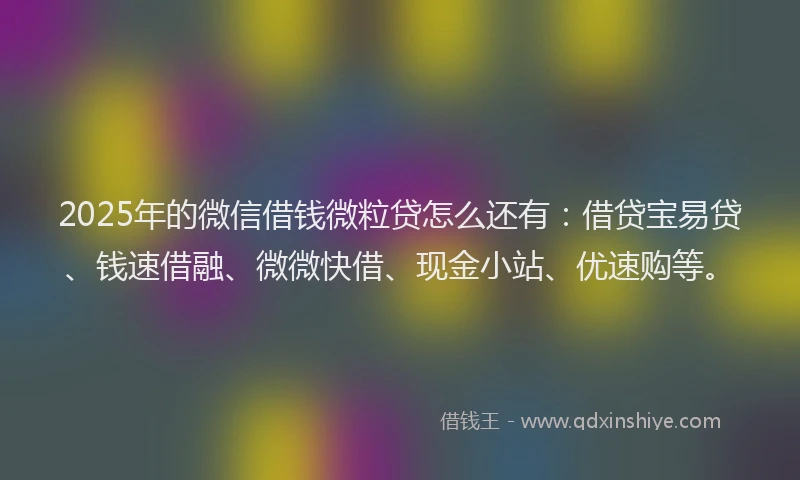 2025年的微信借钱微粒贷怎么还有：借贷宝易贷、钱速借融、微微快借、现金小站、优速购等。