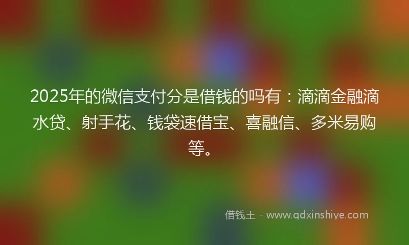 2025年的微信支付分是借钱的吗有：滴滴金融滴水贷、射手花、钱袋速借宝、喜融信、多米易购等。