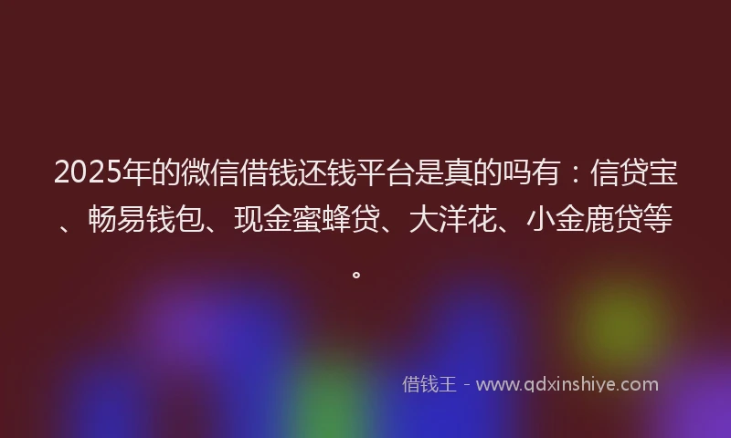 2025年的微信借钱还钱平台是真的吗有：信贷宝、畅易钱包、现金蜜蜂贷、大洋花、小金鹿贷等。