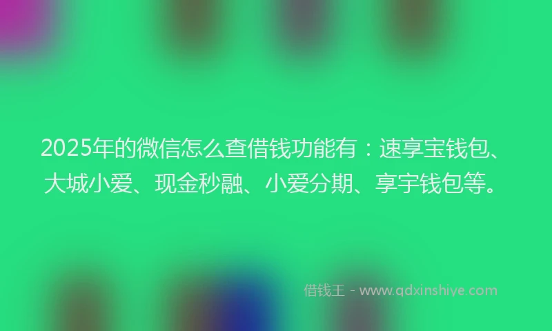 2025年的微信怎么查借钱功能有：速享宝钱包、大城小爱、现金秒融、小爱分期、享宇钱包等。