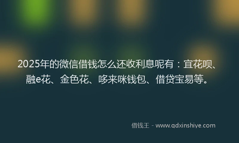 2025年的微信借钱怎么还收利息呢有：宜花呗、融e花、金色花、哆来咪钱包、借贷宝易等。