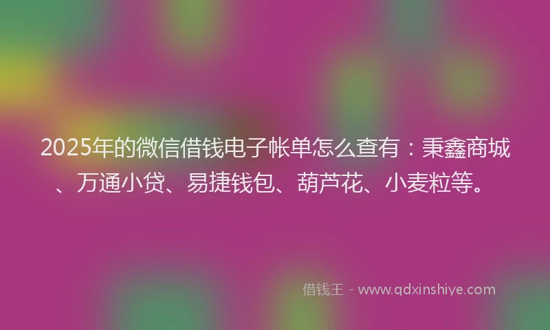 2025年的微信借钱电子帐单怎么查有：秉鑫商城、万通小贷、易捷钱包、葫芦花、小麦粒等。