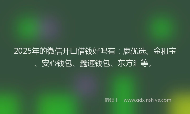 2025年的微信开口借钱好吗有：鹿优选、金租宝、安心钱包、鑫速钱包、东方汇等。