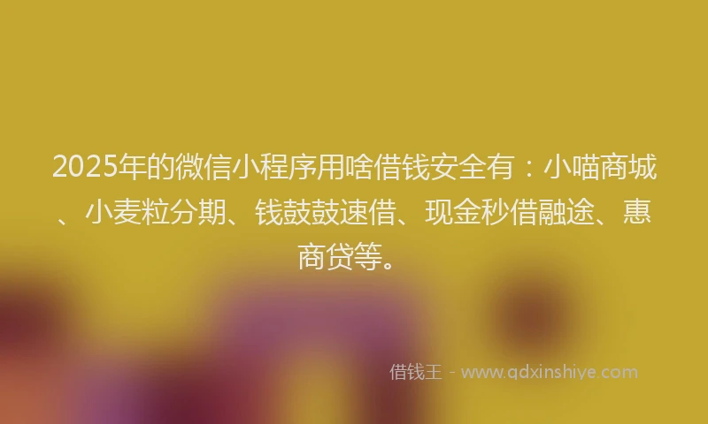 2025年的微信小程序用啥借钱安全有：小喵商城、小麦粒分期、钱鼓鼓速借、现金秒借融途、惠商贷等。