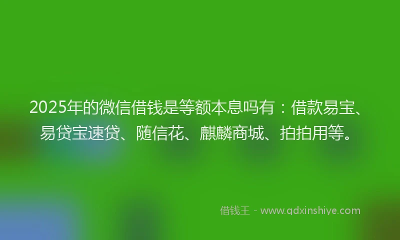 2025年的微信借钱是等额本息吗有：借款易宝、易贷宝速贷、随信花、麒麟商城、拍拍用等。