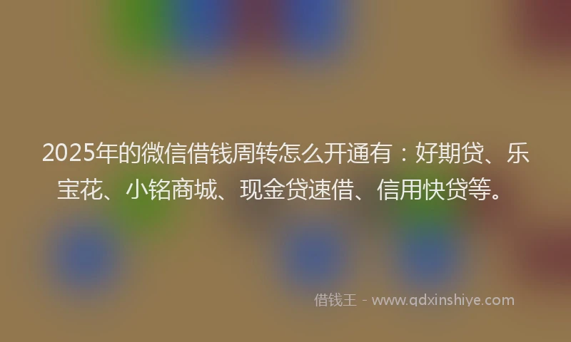 2025年的微信借钱周转怎么开通有：好期贷、乐宝花、小铭商城、现金贷速借、信用快贷等。