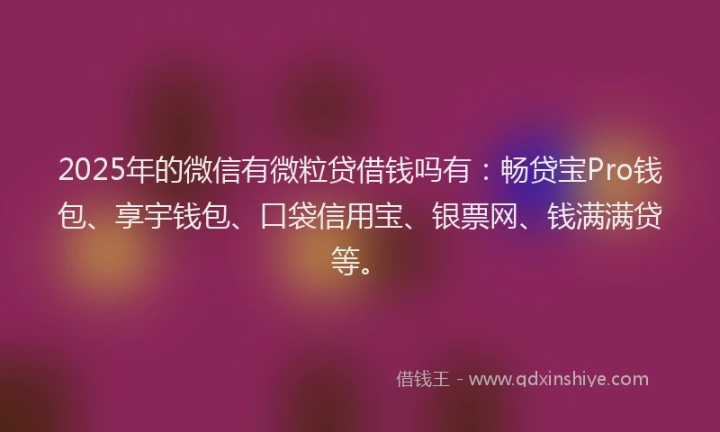 2025年的微信有微粒贷借钱吗有：畅贷宝Pro钱包、享宇钱包、口袋信用宝、银票网、钱满满贷等。