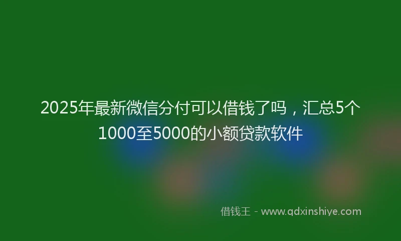 2025年最新微信分付可以借钱了吗，汇总5个1000至5000的小额贷款软件