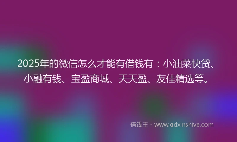 2025年的微信怎么才能有借钱有：小油菜快贷、小融有钱、宝盈商城、天天盈、友佳精选等。