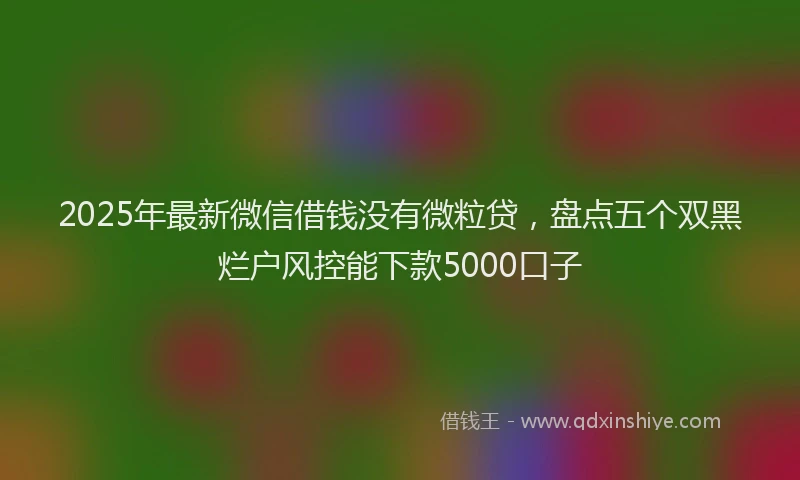 2025年最新微信借钱没有微粒贷，盘点五个双黑烂户风控能下款5000口子