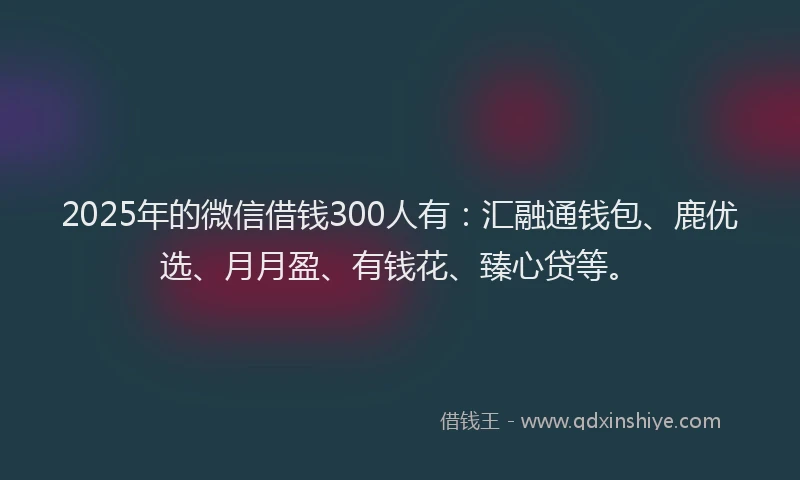 2025年的微信借钱300人有：汇融通钱包、鹿优选、月月盈、有钱花、臻心贷等。