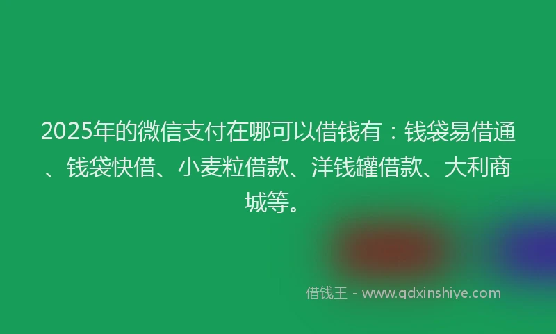 2025年的微信支付在哪可以借钱有：钱袋易借通、钱袋快借、小麦粒借款、洋钱罐借款、大利商城等。