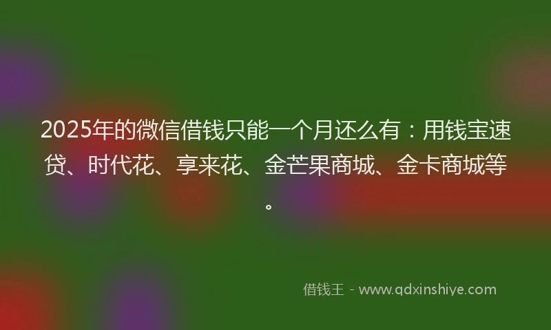 2025年的微信借钱只能一个月还么有：用钱宝速贷、时代花、享来花、金芒果商城、金卡商城等。