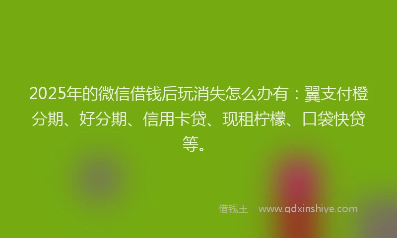 2025年的微信借钱后玩消失怎么办有：翼支付橙分期、好分期、信用卡贷、现租柠檬、口袋快贷等。
