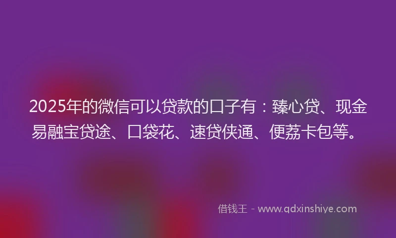 2025年的微信可以贷款的口子有：臻心贷、现金易融宝贷途、口袋花、速贷侠通、便荔卡包等。
