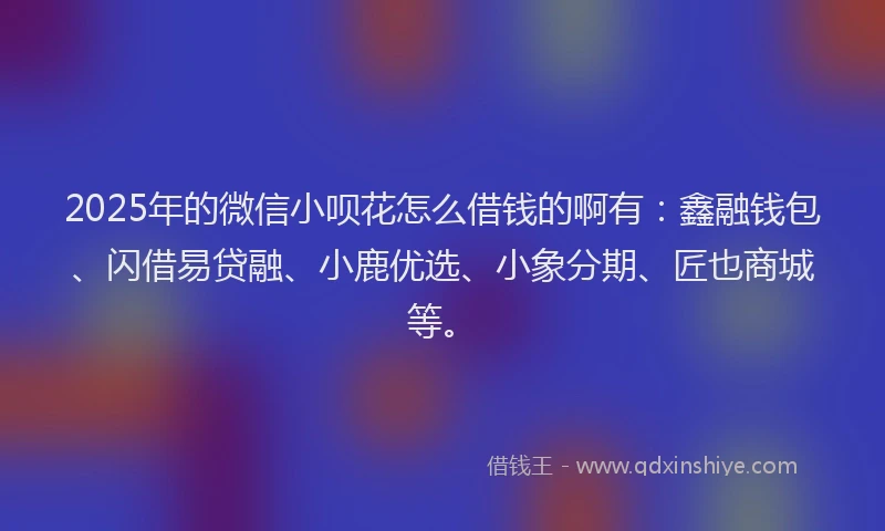 2025年的微信小呗花怎么借钱的啊有：鑫融钱包、闪借易贷融、小鹿优选、小象分期、匠也商城等。