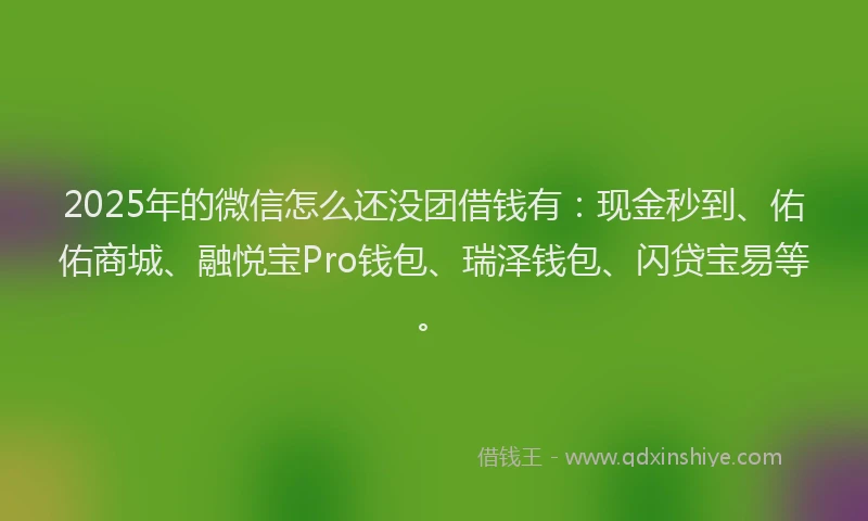 2025年的微信怎么还没团借钱有：现金秒到、佑佑商城、融悦宝Pro钱包、瑞泽钱包、闪贷宝易等。