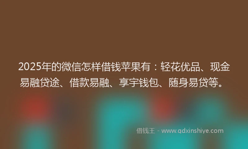 2025年的微信怎样借钱苹果有：轻花优品、现金易融贷途、借款易融、享宇钱包、随身易贷等。