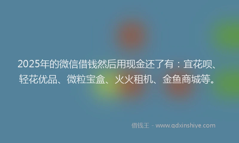 2025年的微信借钱然后用现金还了有：宜花呗、轻花优品、微粒宝盒、火火租机、金鱼商城等。