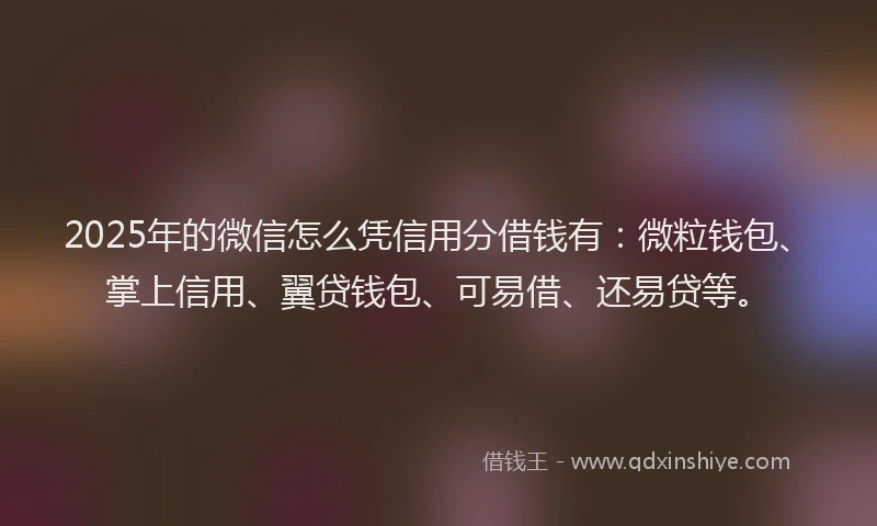 2025年的微信怎么凭信用分借钱有：微粒钱包、掌上信用、翼贷钱包、可易借、还易贷等。