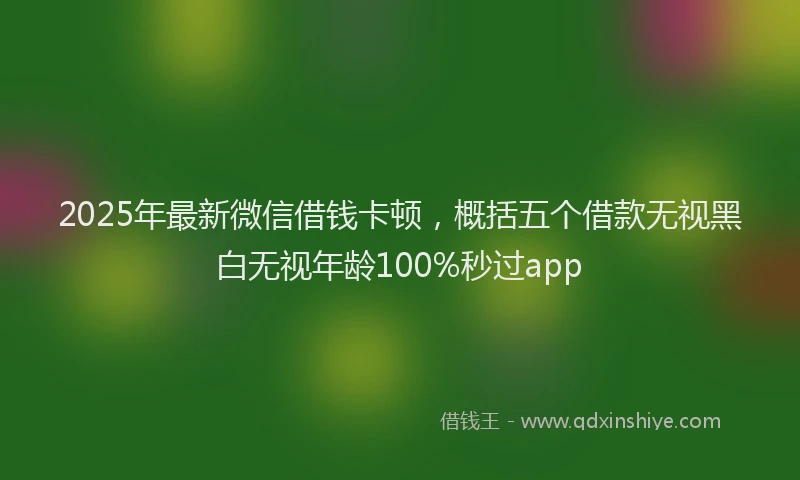 2025年最新微信借钱卡顿，概括五个借款无视黑白无视年龄100%秒过app