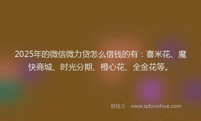 2025年的微信微力贷怎么借钱的有：喜米花、魔快商城、时光分期、橙心花、全金花等。