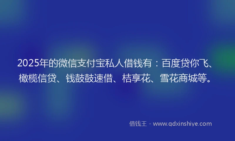 2025年的微信支付宝私人借钱有：百度贷你飞、橄榄信贷、钱鼓鼓速借、桔享花、雪花商城等。