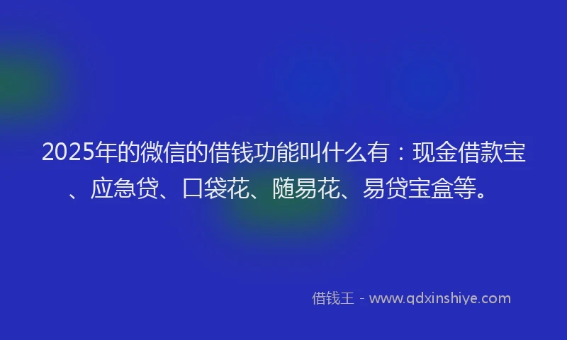 2025年的微信的借钱功能叫什么有：现金借款宝、应急贷、口袋花、随易花、易贷宝盒等。
