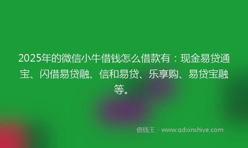 2025年的微信小牛借钱怎么借款有：现金易贷通宝、闪借易贷融、信和易贷、乐享购、易贷宝融等。