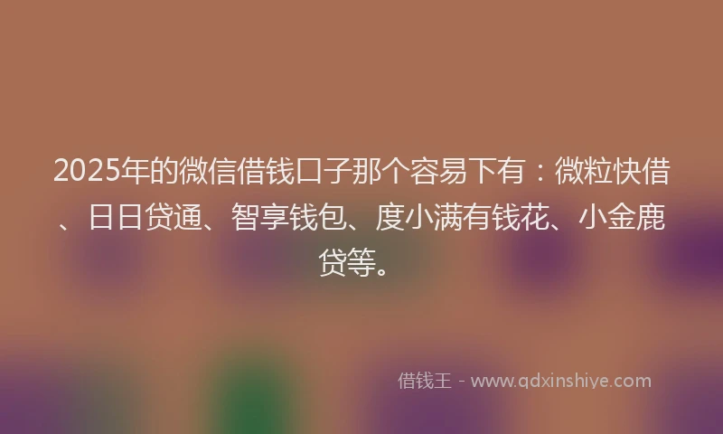 2025年的微信借钱口子那个容易下有：微粒快借、日日贷通、智享钱包、度小满有钱花、小金鹿贷等。