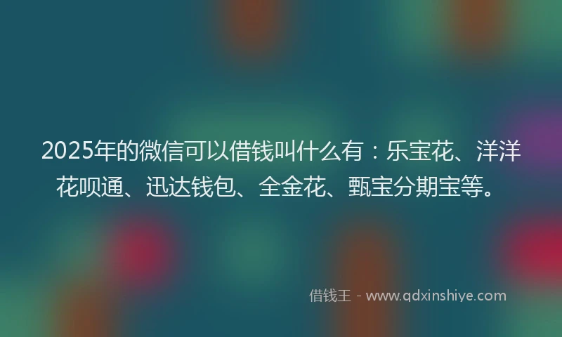 2025年的微信可以借钱叫什么有：乐宝花、洋洋花呗通、迅达钱包、全金花、甄宝分期宝等。