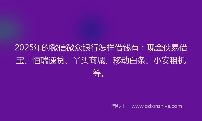 2025年的微信微众银行怎样借钱有：现金侠易借宝、恒瑞速贷、丫头商城、移动白条、小安租机等。
